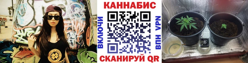 Марихуана семена Жуков